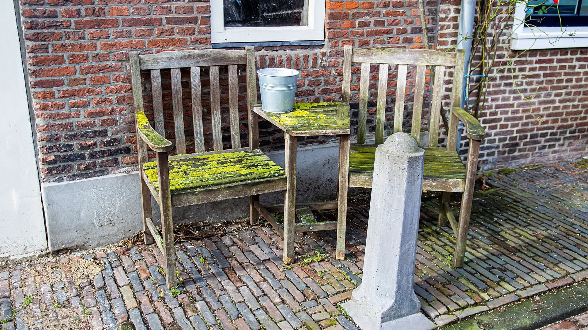 Moss and algae on a wooden patio table and chairs