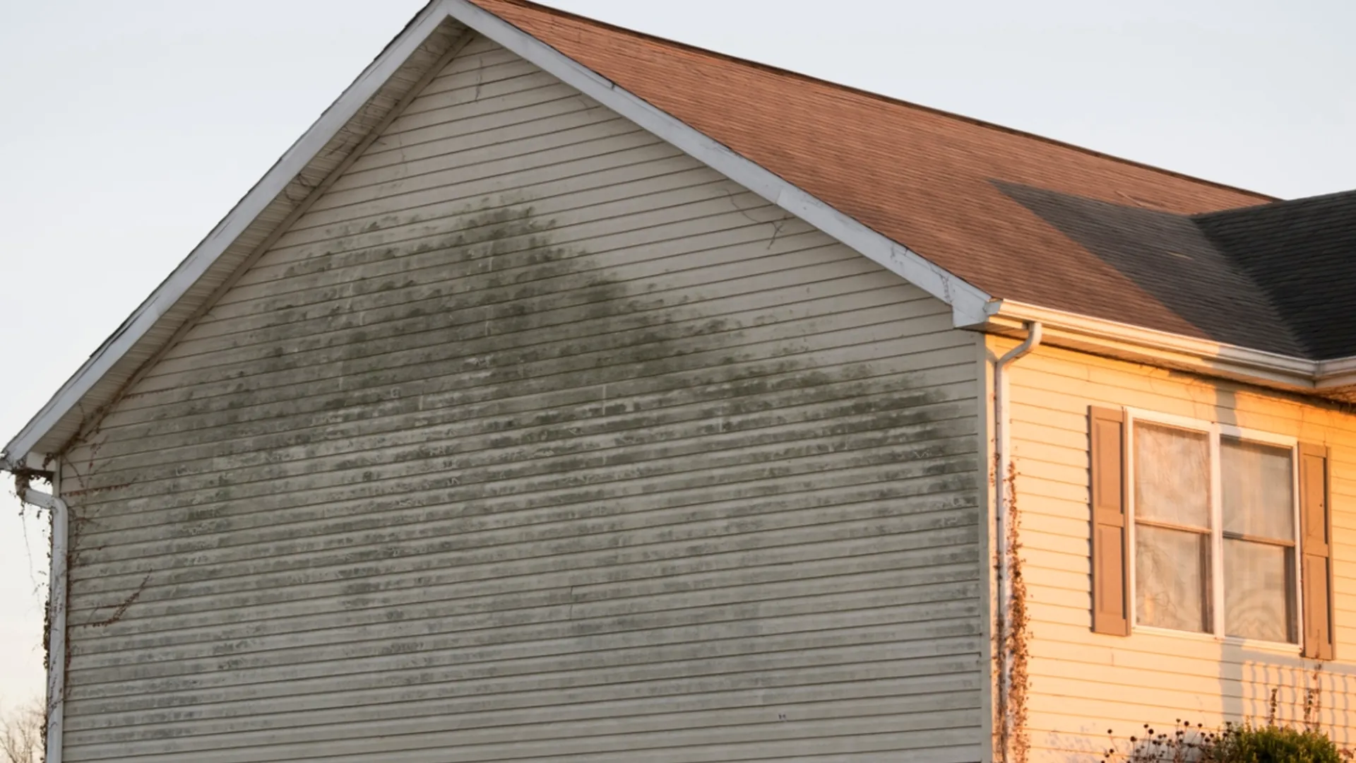Smoke-damaged exterior siding on a home after a wildfire