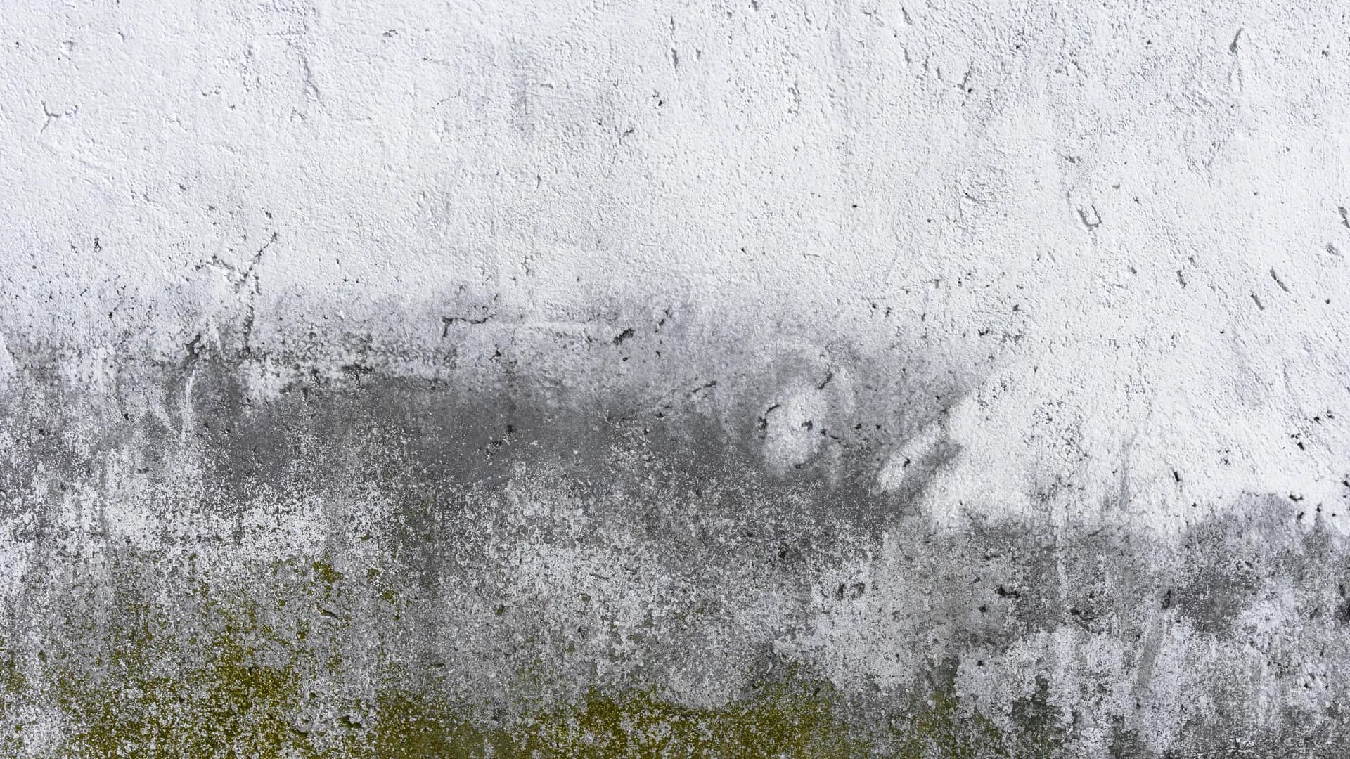 Mineral staining and discolouration across a rendered exterior wall